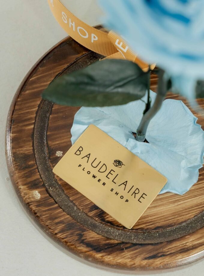 Rosa Eterna Celeste en Cúpula