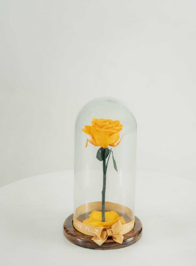 Rosa Eterna Amarilla en Cúpula