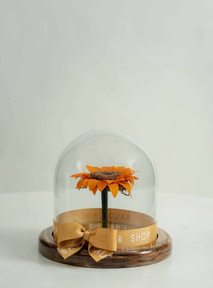 Girasol Preservado en Cúpula Pequeña