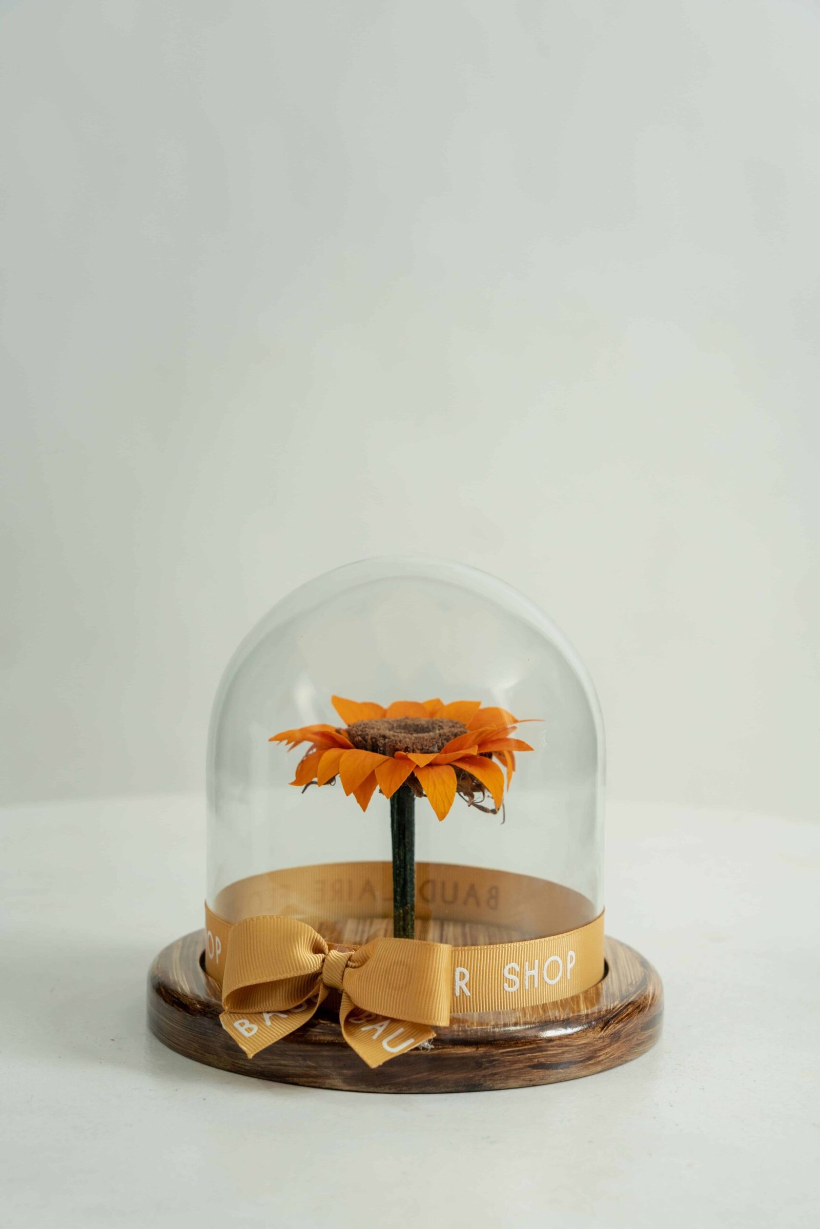 Girasol Preservado en Cúpula Pequeña
