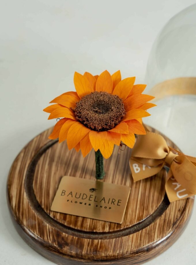 Girasol Preservado en Cúpula Pequeña