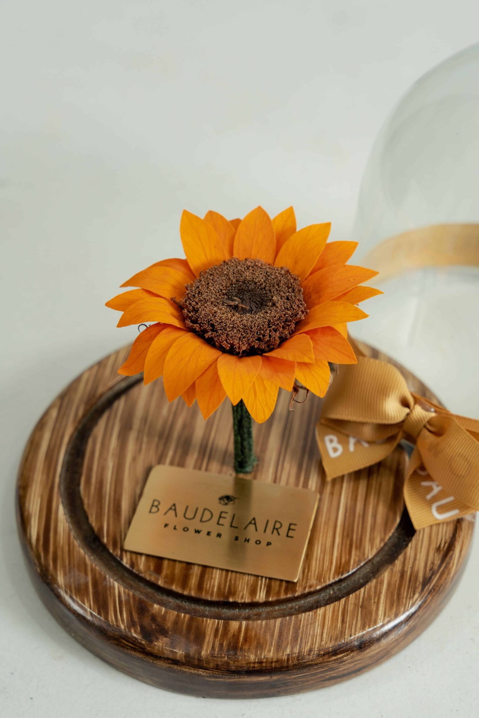 Girasol Preservado en Cúpula Pequeña - Image 2