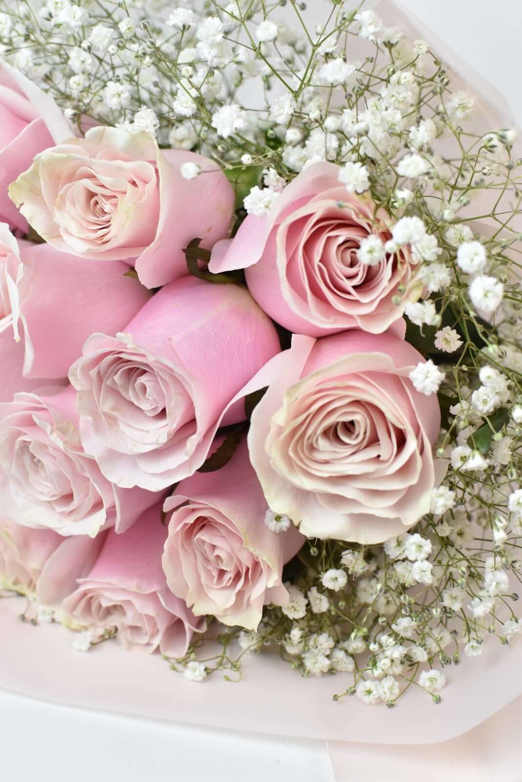 Bouquet de 12 Rosas Rosadas - Image 4