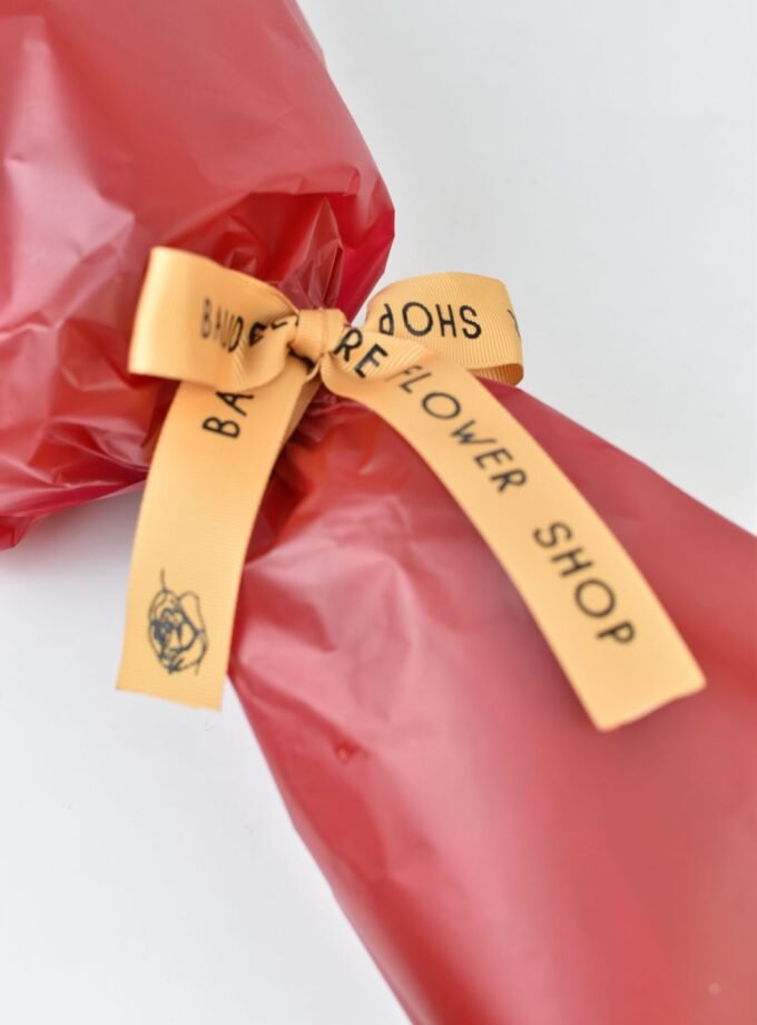 Bouquet de 24 Rosas Rojas