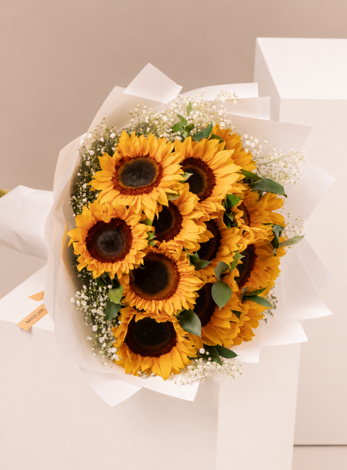 The Wild Sunflower